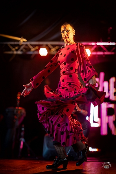 flamenco (79)